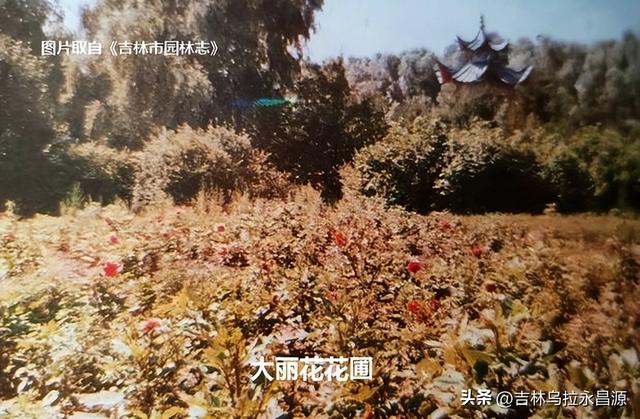 吉林市江南公园内的“园中园”与一位伟人有关