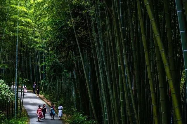 成都10个周末一日游宝地,没有门票~徒步露营溜娃都巴适!