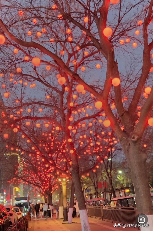 洛阳的美越来越精致