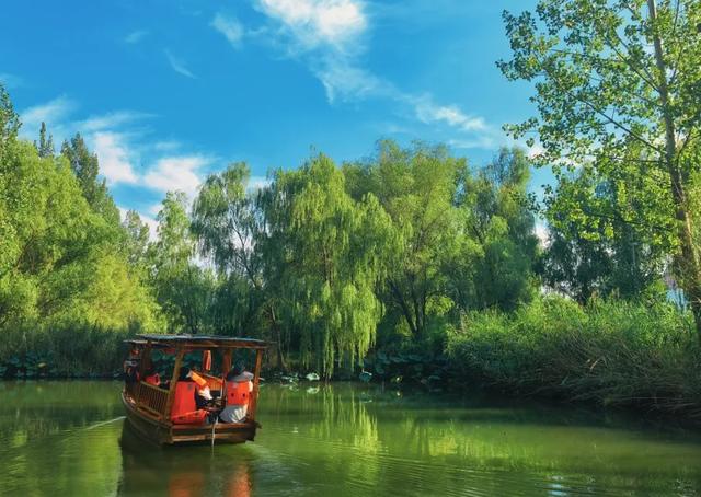 滕州微山湖红荷湿地：秋日限定的诗意画卷