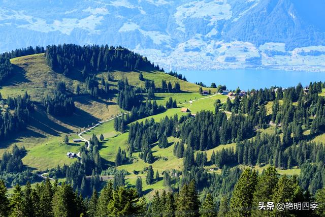 欧游杂记（5）‖ 齿轮火车几上几下瑞吉山，缆车凌空飞跃韦吉斯