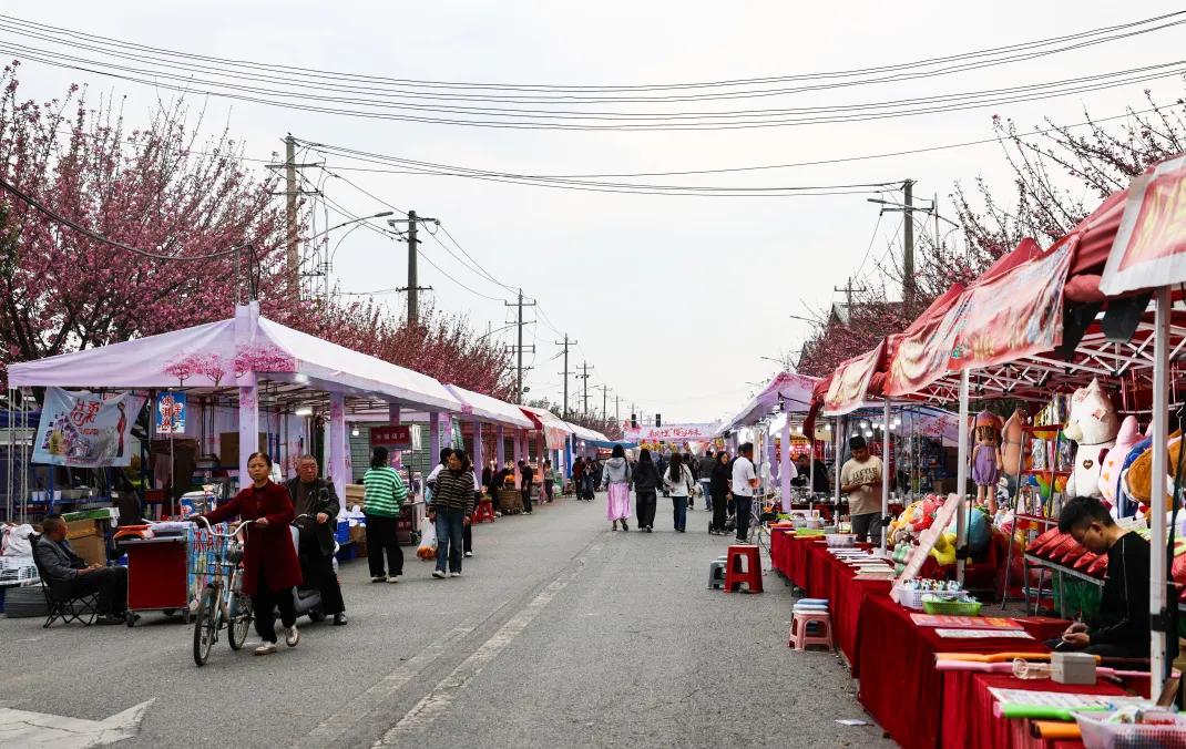 赏花、逛市集、喝咖啡!唐昌樱花季太好逛了插图3 赏花、逛市集、喝咖啡!唐昌樱花季太好逛了插图3
