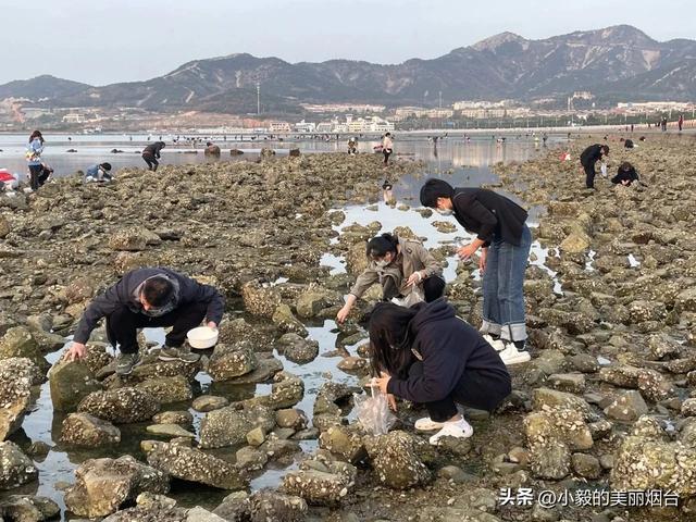事关每一个烟台人！近期已开启全面整治！