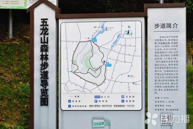 入园、停车都免费！苏州这座0元郊野公园超适合“撒野”