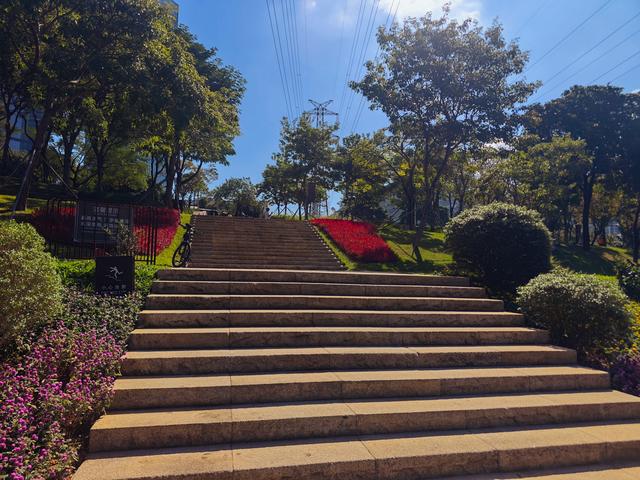从学苑大道入大沙河绿过大学城后进深圳弯公园流花山景点【高清】