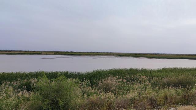 包头城南靠近黄河的昭君湖，也叫小白河景区，黄河浩渺，湖平如镜