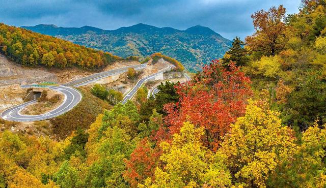 美到窒息！太行一号旅游公路铺开秋日油画长卷