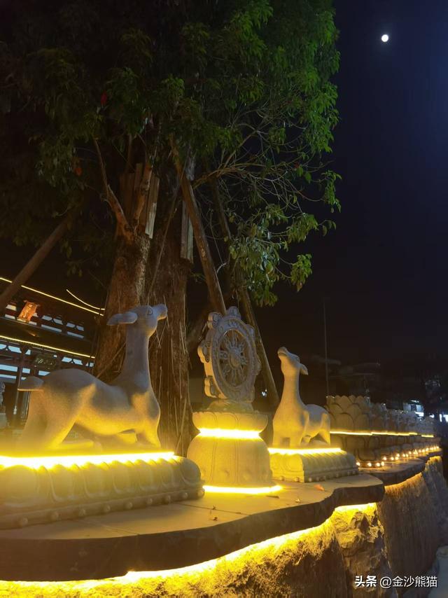 从厦门到漳浦诞生此行第一胎 品美味河豚 双龙连续第三年千里双骑9