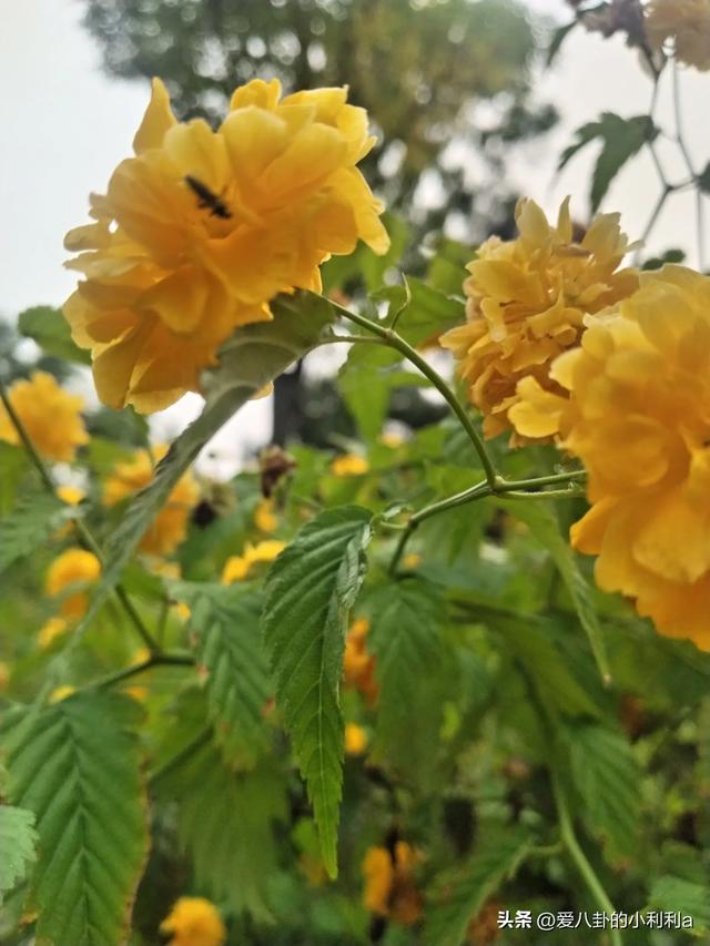 一觉醒来，公办幼儿园免学费政策一出，80后的家长先集体破防了！
