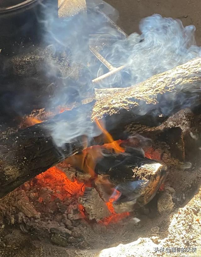 零下15度！河南四九天迎来寒冷暴击，真的要“猫冬”了？