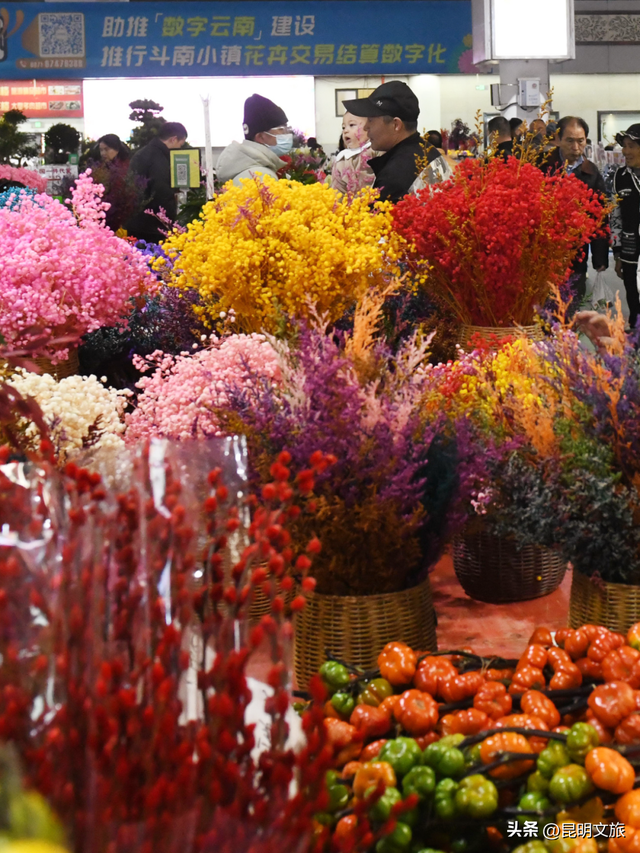 假期最后一天，留给斗南！好吗？把新年浪漫打包回家！