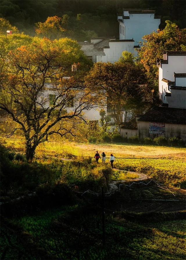 别再只去宏村了！这座水墨小城，藏着大半个徽州的秋，美得更诗意