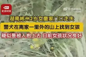 湖南走失2岁女童被警犬在山上找到，疑似是被人抱上去图片