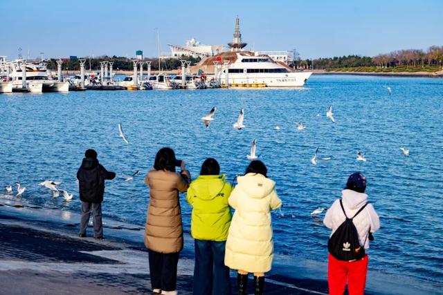 藏不住了！正是好拍又好逛的时候！就在日照这些地方……
