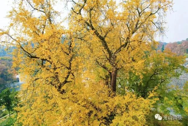 光山“福牛杯”路亚赛将启，人文自然任体验