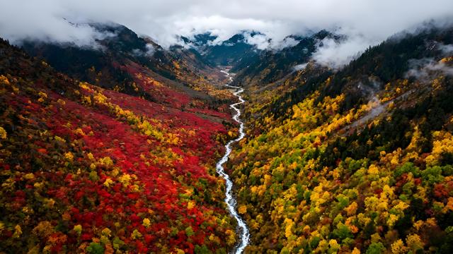 湟水鎏金映秋廓，昆仑披彩入诗行！西宁秋韵，高原上的斑斓史诗