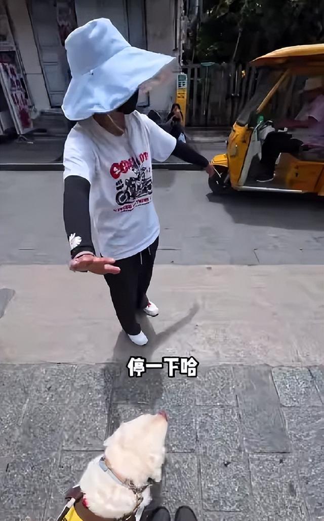 关注｜八年后，他用双耳与指尖“重见”大理！