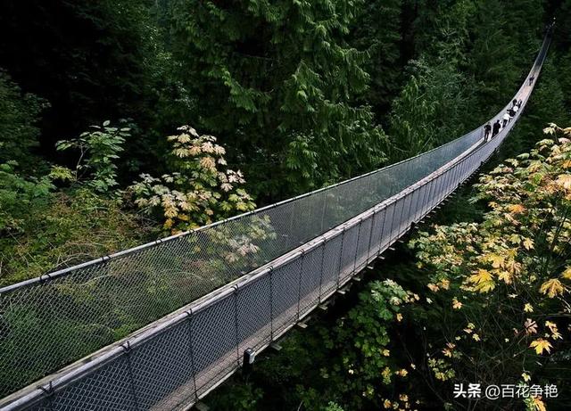 网红景区的吊桥吞噬生命