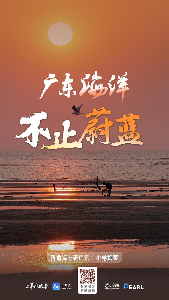 广东海洋，不止蔚蓝