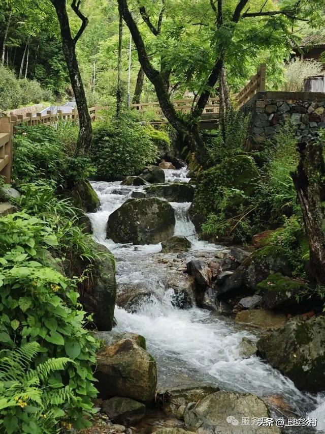 新年慢游计划｜去福建宝藏乡村浪漫跨年，给2026一个温柔的开始