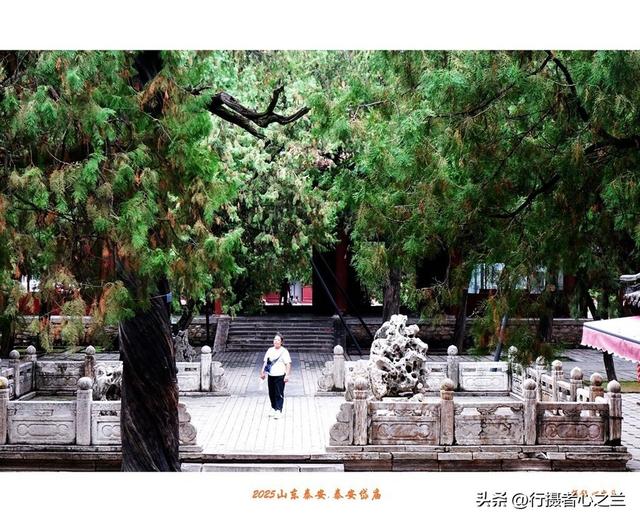 山东行游影记（318）—泰安岱庙（十四）