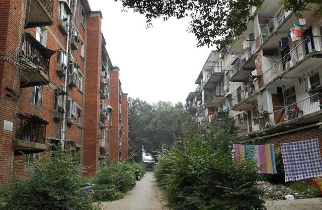 中央定调：住在30年以上老小区的人有福了，预计5000万人将受益！