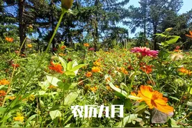 “九月初一5不做，诸事顺遂人长久”，明日九月初一，莫忘老传统图片