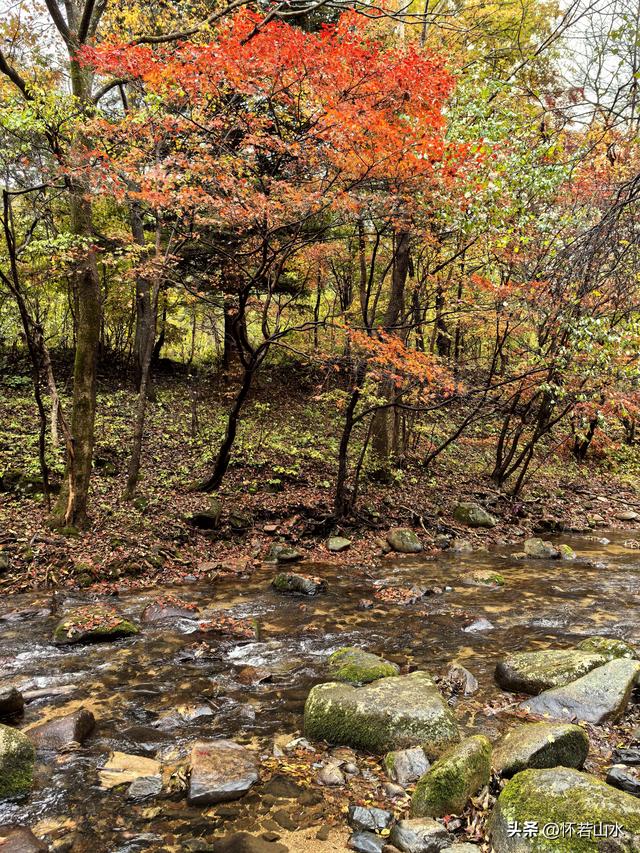 2025辽宁赏秋之旅日记(3)——游览洋湖沟和老边沟