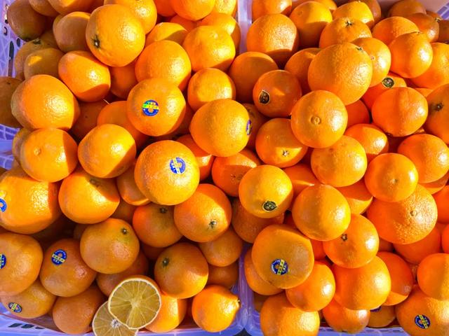 秋色满筐 早市上的色彩交响