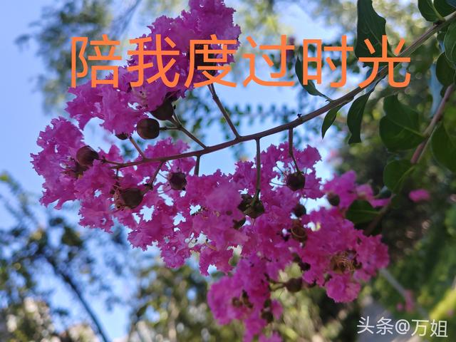 两性关系：女人说的“下次吧”！实际是这个意思	，男人切记要懂得