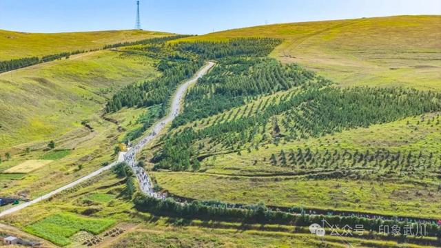 2025哈达门高山草原徒步行活动在武川县举办,1500 余人纵马北疆踏歌而行