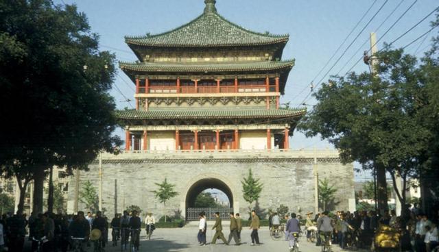 边牧撞碎100万玉镯，被主人暴打后卖到狗肉馆，3天后主人回家傻眼