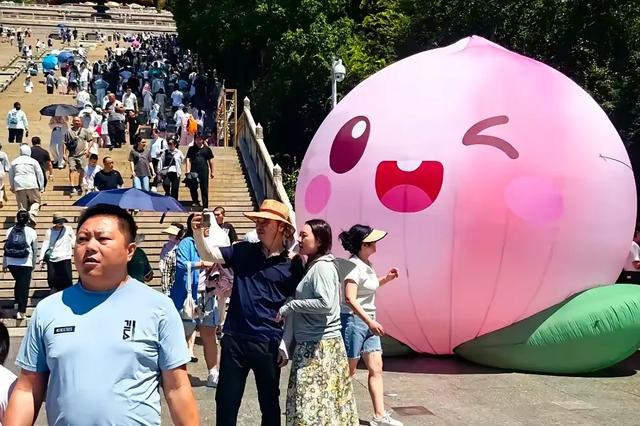 绿茵场外的经济狂欢：解码"苏超"赛事的文旅带动效应