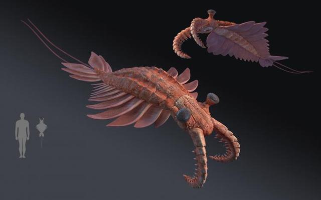 地球曾变成巨型冰球？寒武纪生命大爆发，揭露亿万年前的绝境翻盘