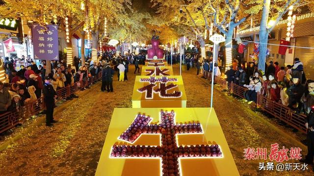 “黄金大道”旅游周落幕 银杏铺笺载盛景 秦州风华留美韵