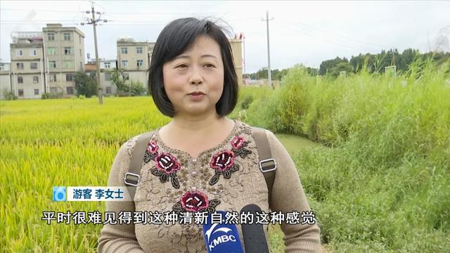 稻田摸鱼、品长街宴，想感受丰收的美好，来这儿就对了