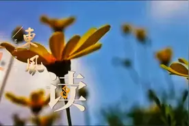 【夜读 · 散文】追随内心，爱你所爱图片