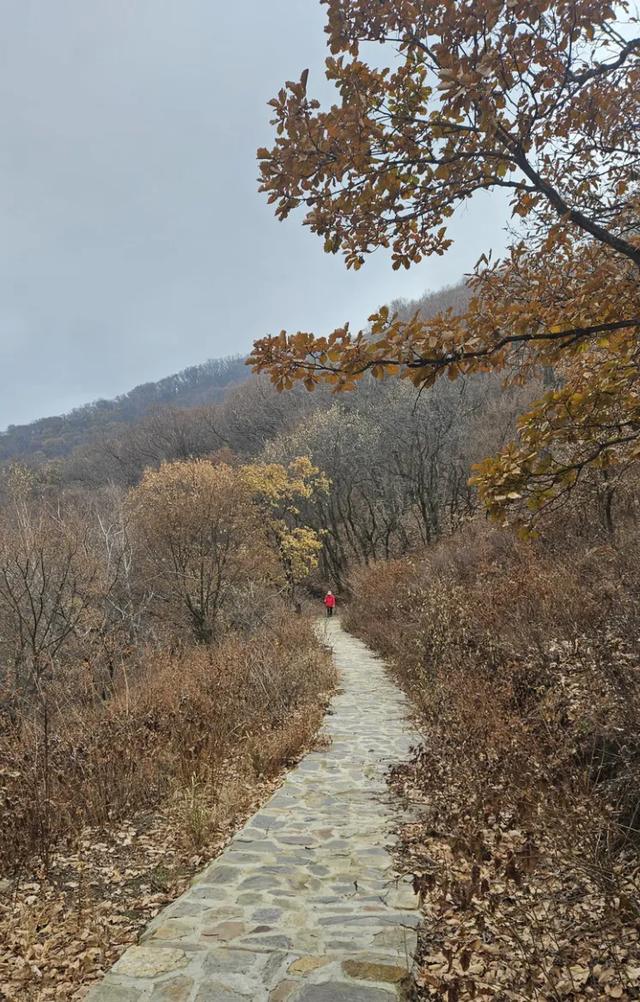 一脚踏进雪与秋的交界处,京郊深山里藏着深秋最温柔的惊喜!