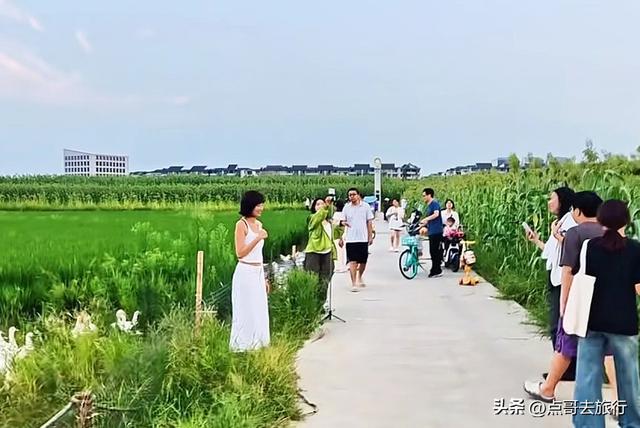 成都三元地铁又上新风景，超级惊艳，不要门票，地铁直达！