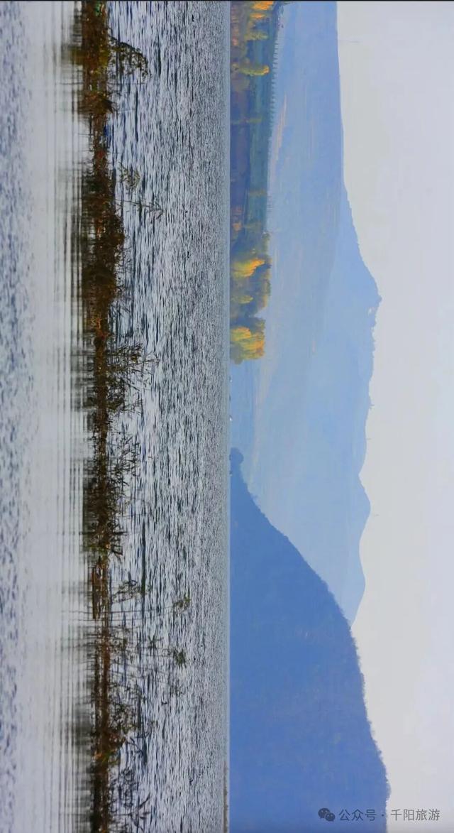 我在千湖湿地撞见了冬天的温柔