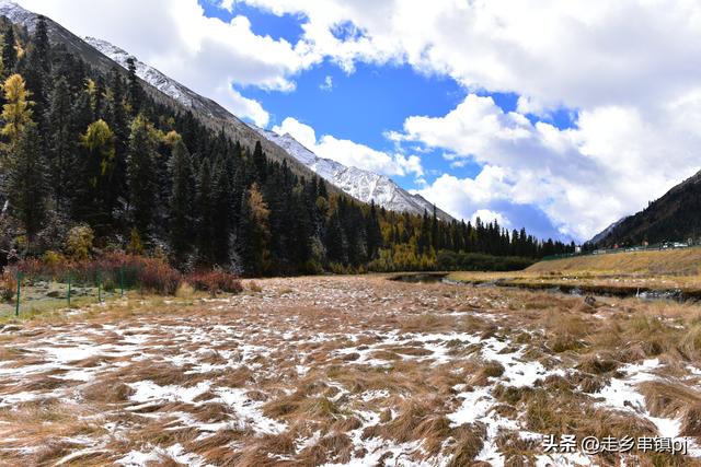 深秋走进理小路