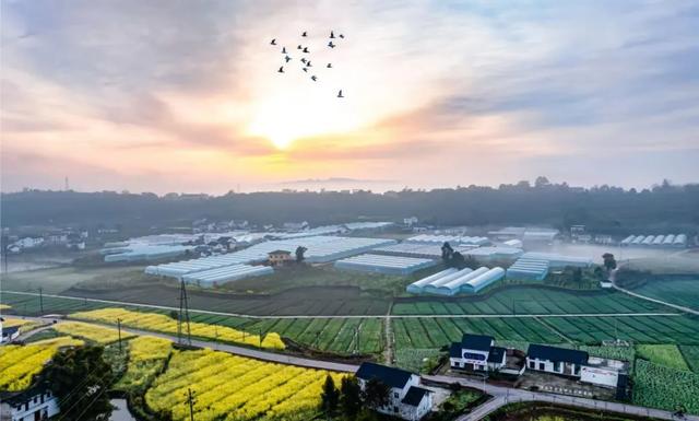 地名里的重庆 | 永川五间镇，因五间铺子而得名？