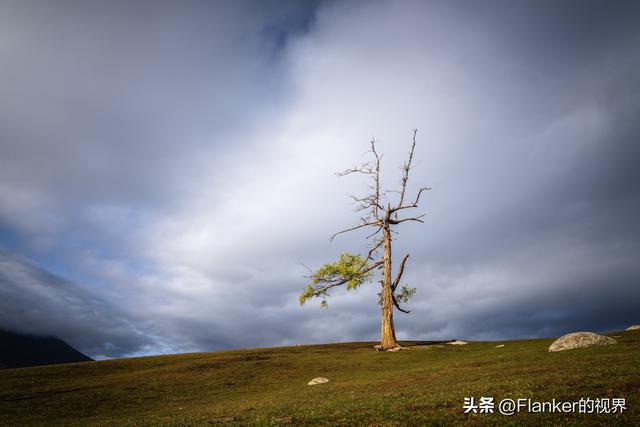 我的阿勒泰之旅(2)