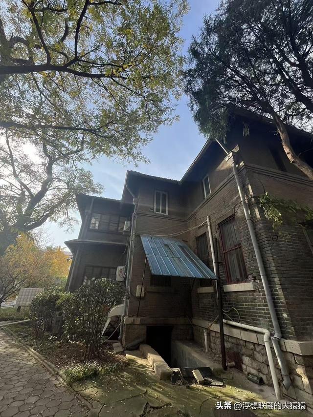 俺那天进齐鲁大学里面来了一场时空旅行（山东大学趵突泉校区）