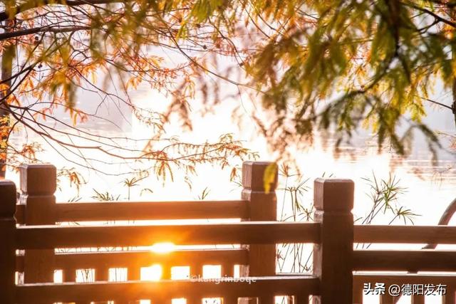 最新实拍!德阳东湖山都美成啥样了啊?太夸张了