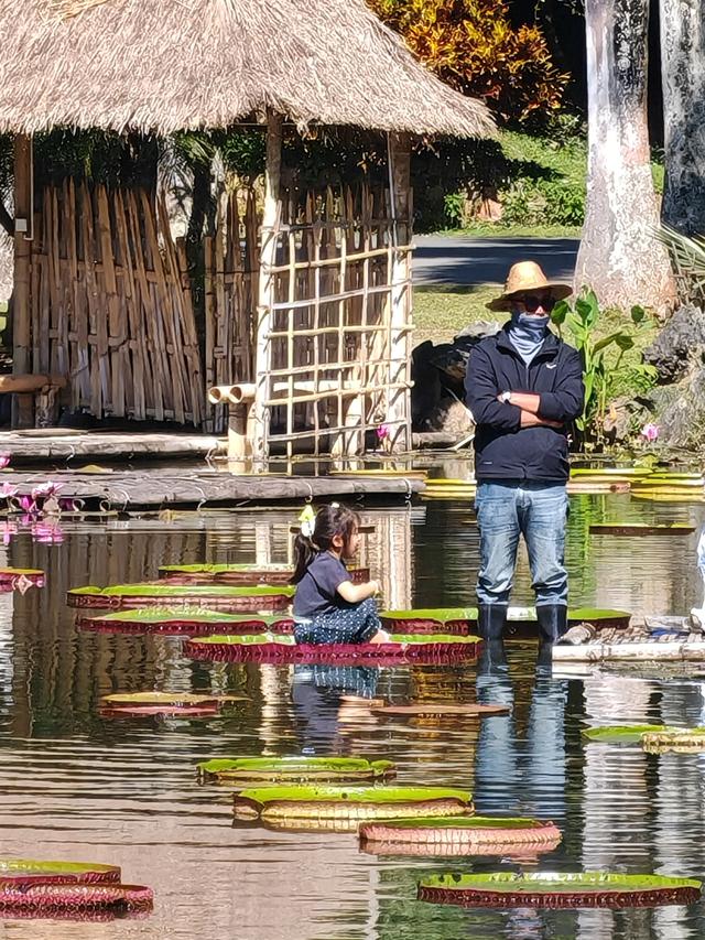 在植物园里寻找哲理