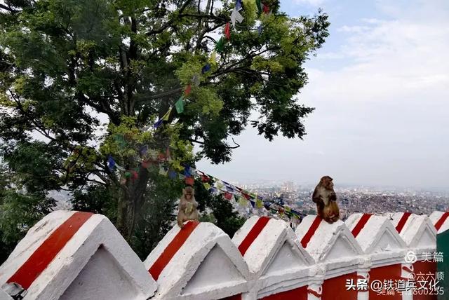 曾省伶||群山雪岭中的神灵之地——尼泊尔(上)