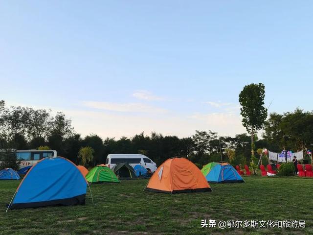 @你，鄂尔多斯植物园全攻略！暑期宝藏路线图！