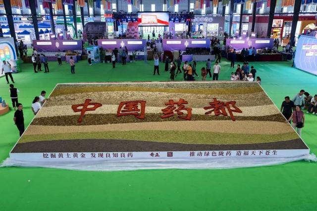 高清图逛陇西康美药博园