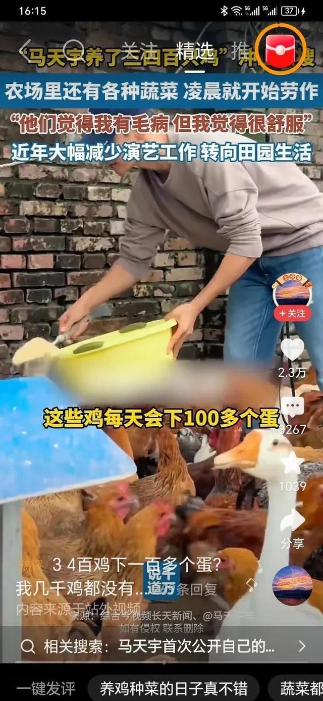 兜兜转转几十年才发现，人生的最终归宿还是田园